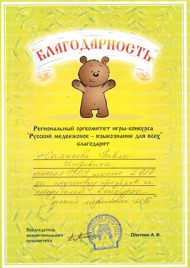 2016-2017 Саянков П.И. (Русский медвежонок)